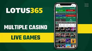 Lotus Betting Site India
