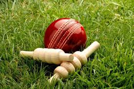 Lotus365 Online Cricket ID
